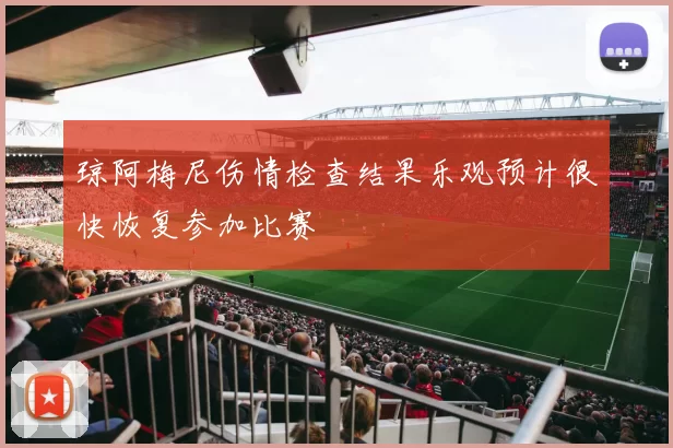 琼阿梅尼伤情检查结果乐观预计很快恢复参加比赛