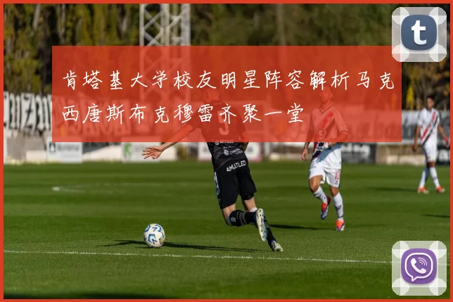 肯塔基大学校友明星阵容解析马克西唐斯布克穆雷齐聚一堂