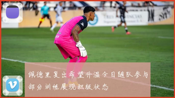 佩德里复出希望升温今日随队参与部分训练展现积极状态